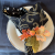 Autumn Symphony Special Occassion Reversible Cloth Napkins