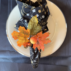 Autumn Symphony Special Occassion Reversible Cloth Napkins